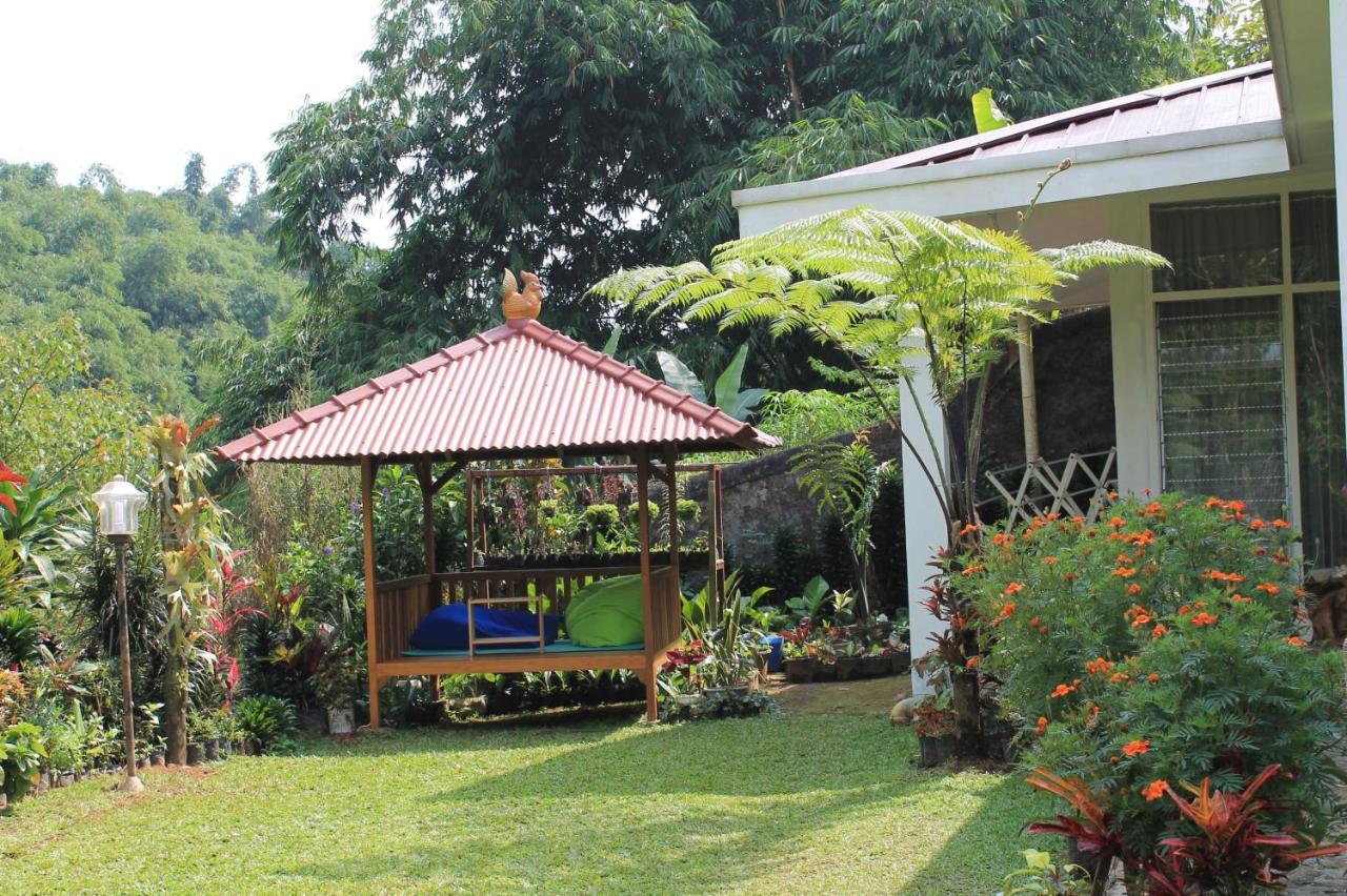בוגור The Forest Villa מראה חיצוני תמונה