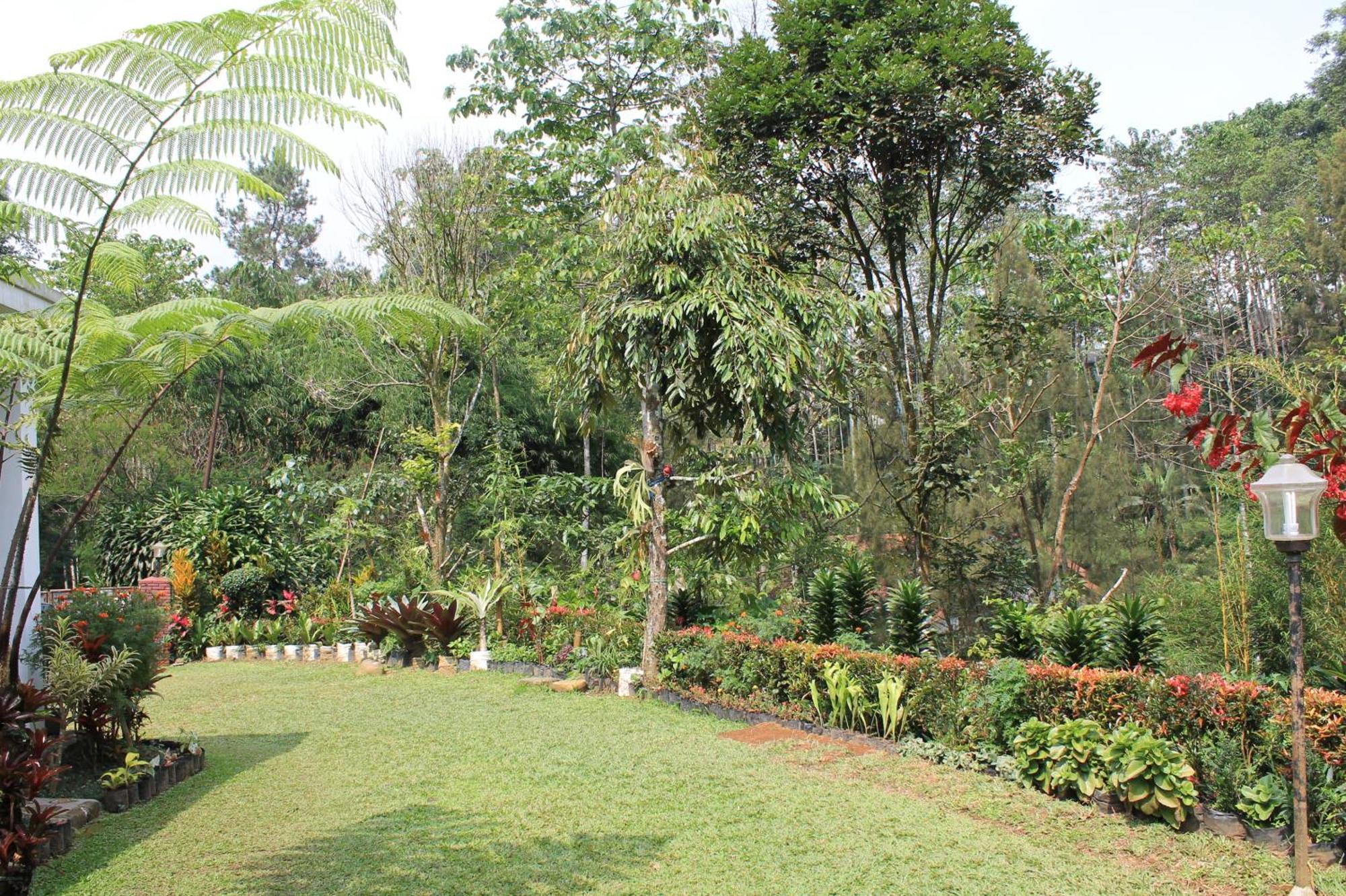 בוגור The Forest Villa מראה חיצוני תמונה