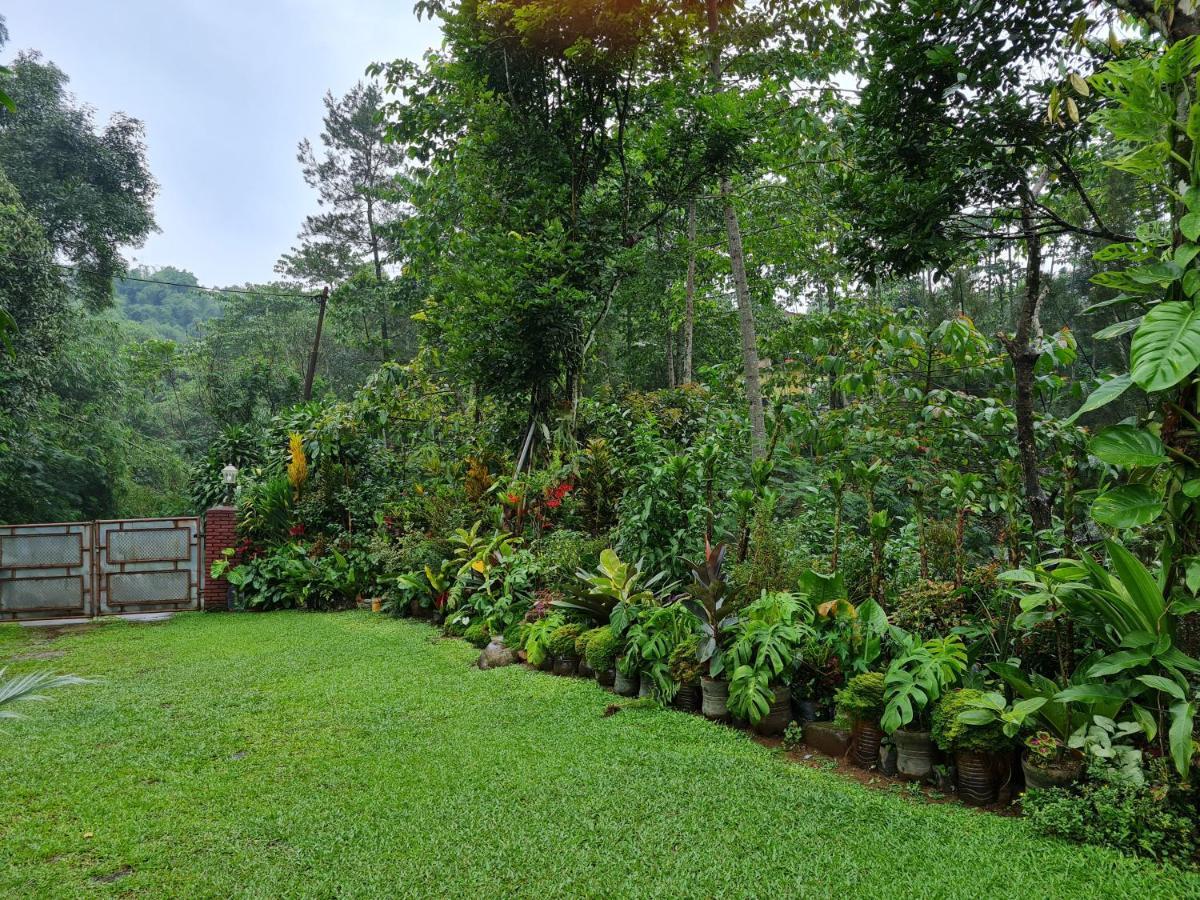 בוגור The Forest Villa מראה חיצוני תמונה